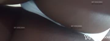 Acompanhante Liz Maia - Cabeçalho