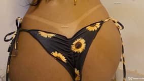 Acompanhante Alana - Cabeçalho