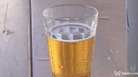 Acompanhante Loirabaiana - Cabeçalho