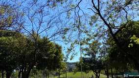 Acompanhante Novinn - Cabeçalho