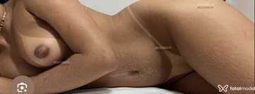 Melissa Acompanhante Melissa - Cabeçalho