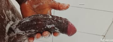 Acompanhante Jmtantrica - Cabeçalho