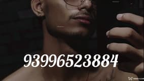 Acompanhante Pollo - Cabeçalho