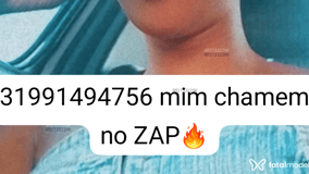 Acompanhante Aninha - Cabeçalho