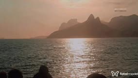 Acompanhante Andre - Cabeçalho