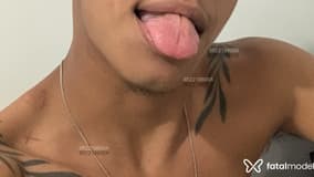 Acompanhante Seunovin - Cabeçalho