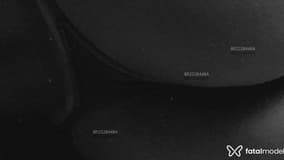 Mel Acompanhante Mel - Cabeçalho