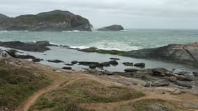 Acompanhante Carlos - Cabeçalho