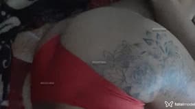Acompanhante Aleeh - Cabeçalho
