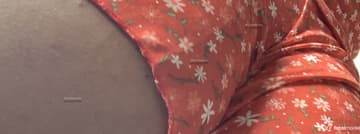 Acompanhante Carol - Cabeçalho