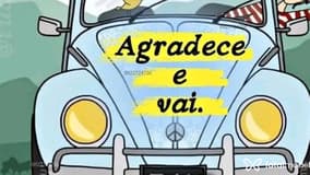 Acompanhante Ferreira - Cabeçalho