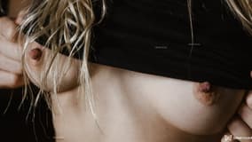 Acompanhante Ana Schneider - Cabeçalho
