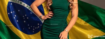 Acompanhante Helena Querino - Cabeçalho