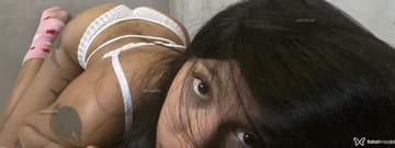 Acompanhante Catito - Cabeçalho