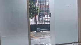 Acompanhante Gabys - Cabeçalho