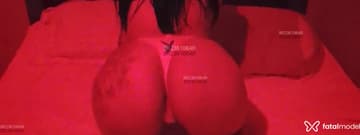 Acompanhante Aninha - Cabeçalho