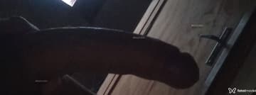 Magrinhogostoso Acompanhante Magrinhogostoso - Cabeçalho