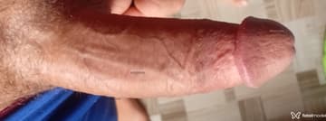 Acompanhante Willianzinhu - Cabeçalho