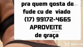 Acompanhante Viadinho - Cabeçalho