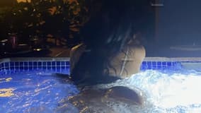 Lua Brandão Acompanhante Lua Brandão - Cabeçalho