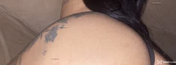 Acompanhante Vanessa - Cabeçalho