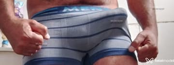 Pintudo Acompanhante Pintudo - Cabeçalho