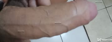 Acompanhante Isabela Fernandes - Cabeçalho