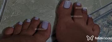 Acompanhante Maia - Cabeçalho