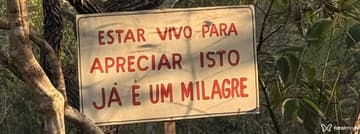 Jhon Acompanhante Jhon - Cabeçalho