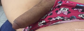 Acompanhante Celine - Cabeçalho