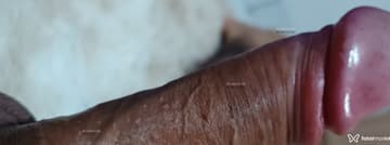 Acompanhante Silva - Cabeçalho