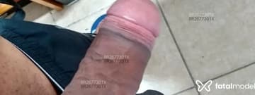 Acompanhante Cachorrão - Cabeçalho
