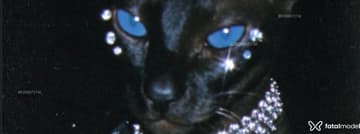 Acompanhante Raven Noir - Cabeçalho