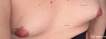 Acompanhante Coccinelle - Cabeçalho