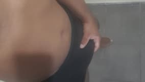 Acompanhante Selvagem - Cabeçalho