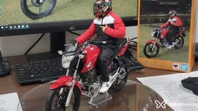 Gustavo Acompanhante Gustavo - Cabeçalho