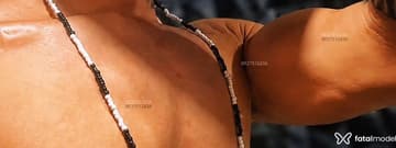 Acompanhante Bernardo - Cabeçalho