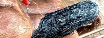 Acompanhante Morena Caval - Cabeçalho