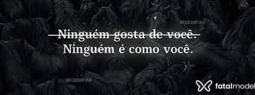 Acompanhante Dotadocm - Cabeçalho