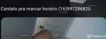 Acompanhante Cleiton - Cabeçalho