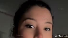 Foguetinho Acompanhante Foguetinho - Cabeçalho