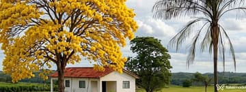 Sxsxsx Acompanhante Sxsxsx - Cabeçalho