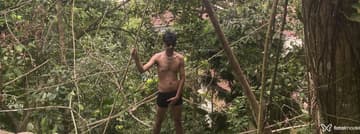 Acompanhante Lemes - Cabeçalho