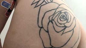 Sininho Acompanhante Sininho - Cabeçalho