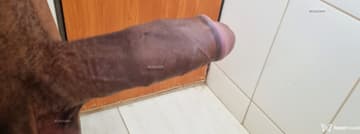 Acompanhante Negaoptc - Cabeçalho