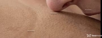 Tattoado Acompanhante Tattoado - Cabeçalho