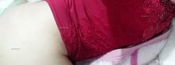 Talia Acompanhante Talia - Cabeçalho