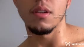 Acompanhante Pedro Araujo - Cabeçalho