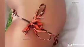 Acompanhante Lohana - Cabeçalho