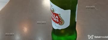 Acompanhante Lippe - Cabeçalho